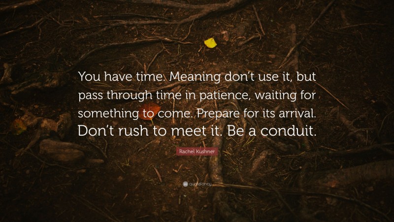 Rachel Kushner Quote: “You have time. Meaning don’t use it, but pass through time in patience, waiting for something to come. Prepare for its arrival. Don’t rush to meet it. Be a conduit.”