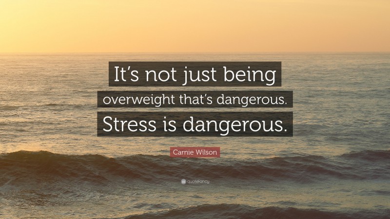 Carnie Wilson Quote: “It’s not just being overweight that’s dangerous. Stress is dangerous.”