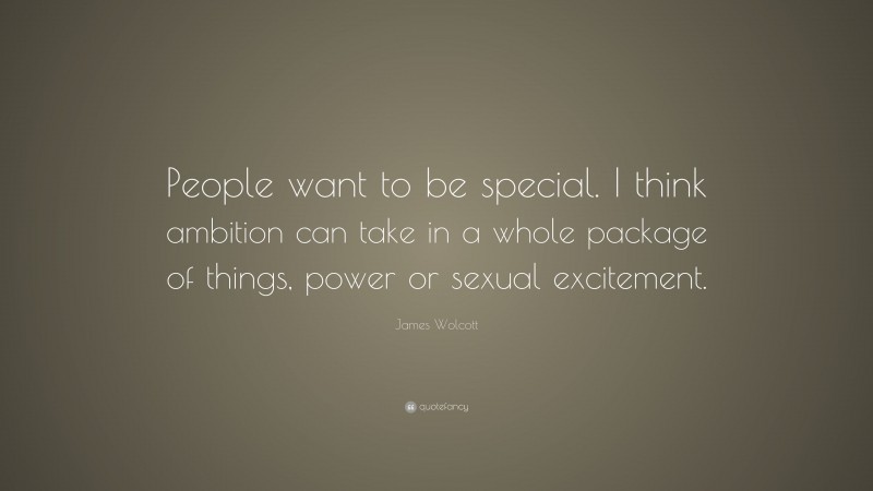 James Wolcott Quote: “People want to be special. I think ambition can take in a whole package of things, power or sexual excitement.”