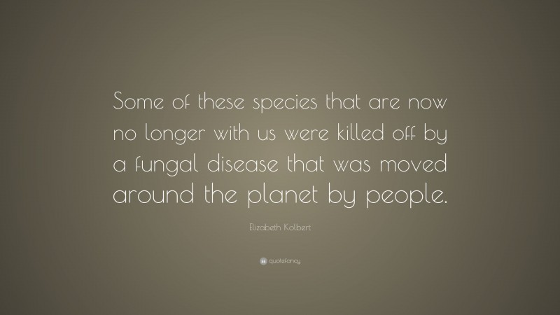Elizabeth Kolbert Quote: “Some of these species that are now no longer with us were killed off by a fungal disease that was moved around the planet by people.”