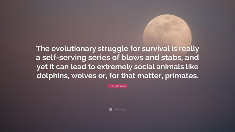 Frans de Waal Quote: “The evolutionary struggle for survival is really a self-serving series of blows and stabs, and yet it can lead to extremely social animals like dolphins, wolves or, for that matter, primates.”