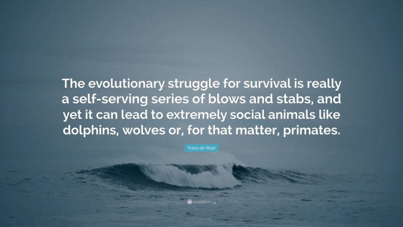 Frans de Waal Quote: “The evolutionary struggle for survival is really a self-serving series of blows and stabs, and yet it can lead to extremely social animals like dolphins, wolves or, for that matter, primates.”