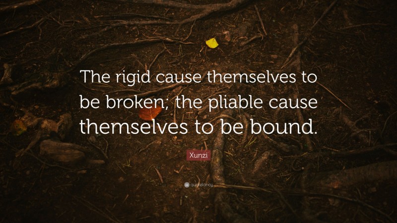 Xunzi Quote: “The rigid cause themselves to be broken; the pliable cause themselves to be bound.”