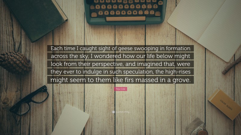 Teju Cole Quote: “Each time I caught sight of geese swooping in formation across the sky, I wondered how our life below might look from their perspective, and imagined that, were they ever to indulge in such speculation, the high-rises might seem to them like firs massed in a grove.”