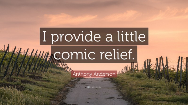 Anthony Anderson Quote: “I provide a little comic relief.”