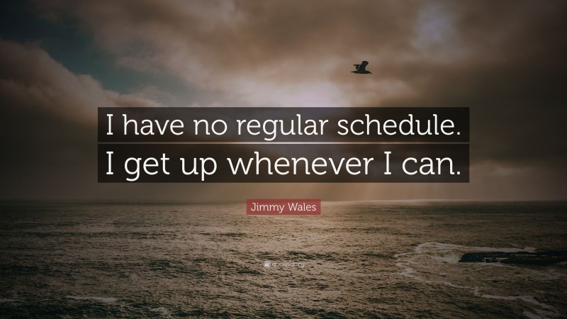 Jimmy Wales Quote: “I have no regular schedule. I get up whenever I can.”