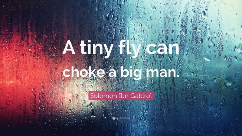Solomon Ibn Gabirol Quote: “A tiny fly can choke a big man.”