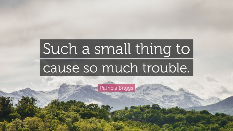 Patricia Briggs Quote: “Such a small thing to cause so much trouble.”