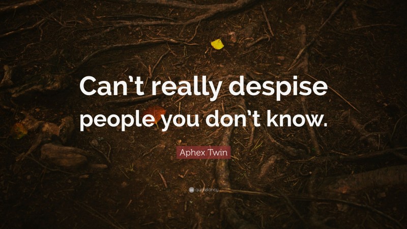 Aphex Twin Quote: “Can’t really despise people you don’t know.”