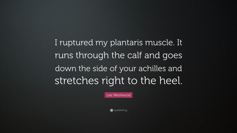 Lee Westwood Quote: “I ruptured my plantaris muscle. It runs through the calf and goes down the side of your achilles and stretches right to the heel.”