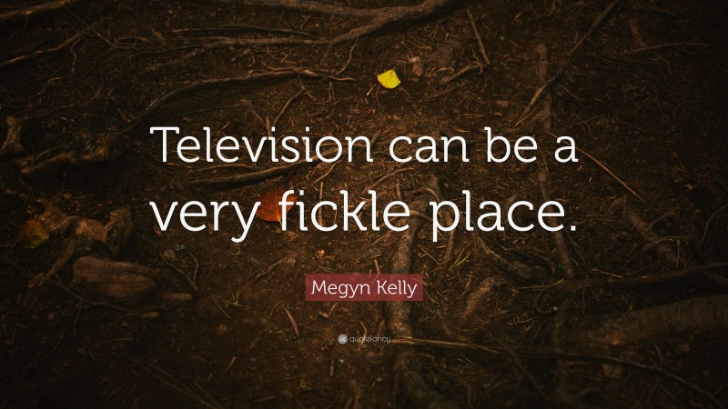 Megyn Kelly Quote: “Television can be a very fickle place.”