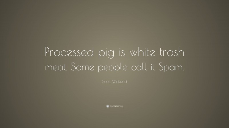 Scott Weiland Quote: “Processed pig is white trash meat. Some people call it Spam.”