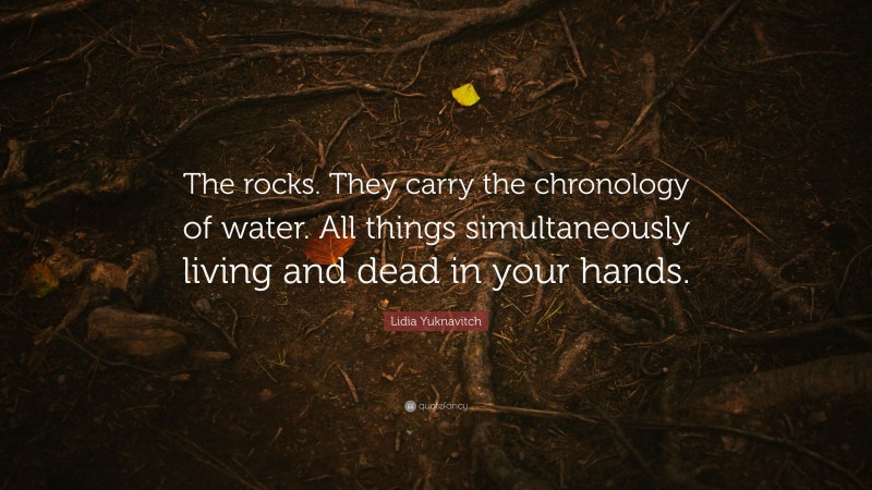 Lidia Yuknavitch Quote: “The rocks. They carry the chronology of water. All things simultaneously living and dead in your hands.”