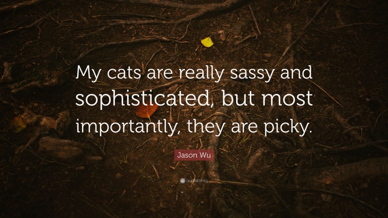 Jason Wu Quote: “My cats are really sassy and sophisticated, but most importantly, they are picky.”
