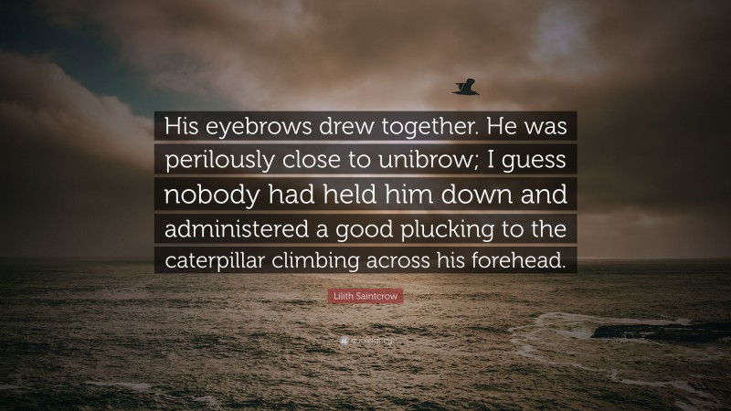Lilith Saintcrow Quote: “His eyebrows drew together. He was perilously close to unibrow; I guess nobody had held him down and administered a good plucking to the caterpillar climbing across his forehead.”