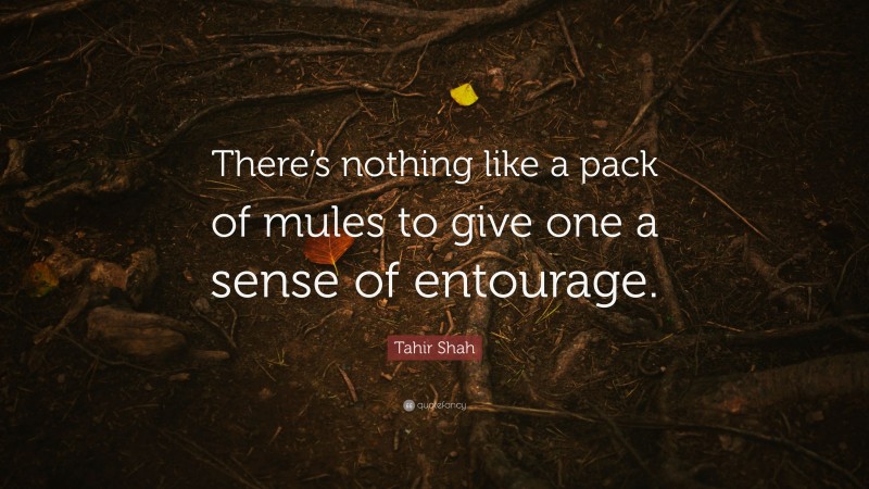 Tahir Shah Quote: “There’s nothing like a pack of mules to give one a sense of entourage.”