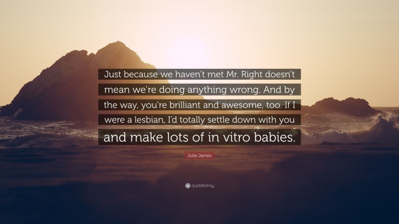 Julie James Quote: “Just because we haven’t met Mr. Right doesn’t mean we’re doing anything wrong. And by the way, you’re brilliant and awesome, too. If I were a lesbian, I’d totally settle down with you and make lots of in vitro babies.”