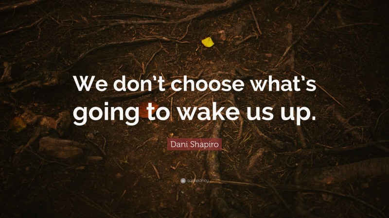 Dani Shapiro Quote: “We don’t choose what’s going to wake us up.”