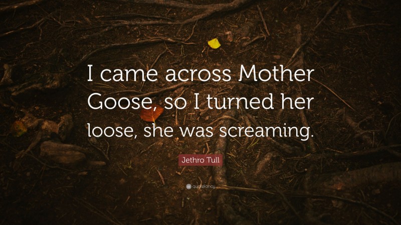 Jethro Tull Quote: “I came across Mother Goose, so I turned her loose, she was screaming.”