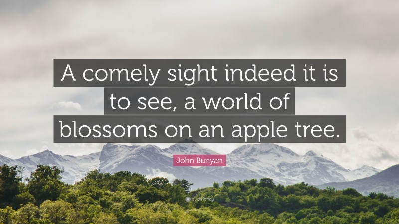 John Bunyan Quote: “A comely sight indeed it is to see, a world of blossoms on an apple tree.”