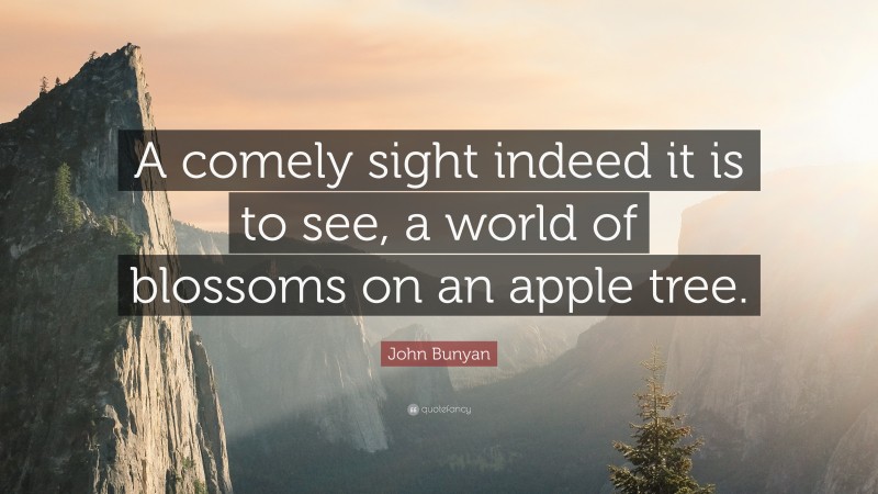 John Bunyan Quote: “A comely sight indeed it is to see, a world of blossoms on an apple tree.”