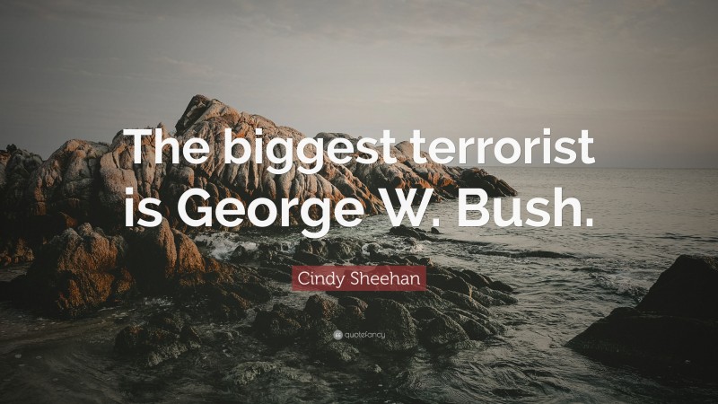 Cindy Sheehan Quote: “The biggest terrorist is George W. Bush.”