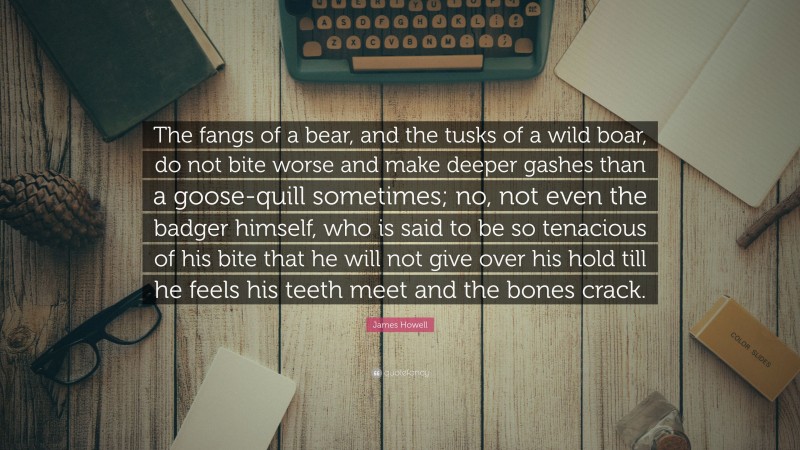 James Howell Quote: “The fangs of a bear, and the tusks of a wild boar, do not bite worse and make deeper gashes than a goose-quill sometimes; no, not even the badger himself, who is said to be so tenacious of his bite that he will not give over his hold till he feels his teeth meet and the bones crack.”