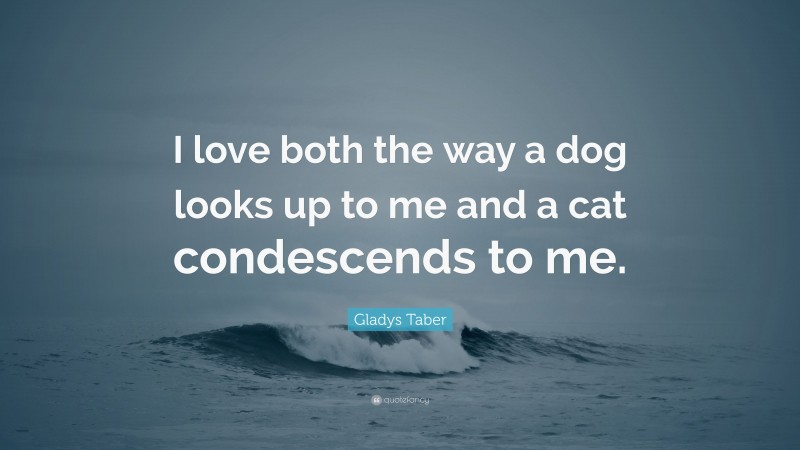 Gladys Taber Quote: “I love both the way a dog looks up to me and a cat condescends to me.”