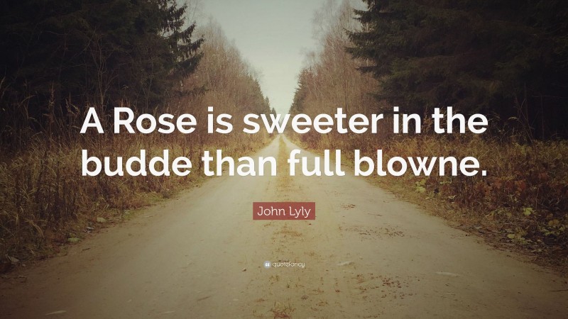 John Lyly Quote: “A Rose is sweeter in the budde than full blowne.”