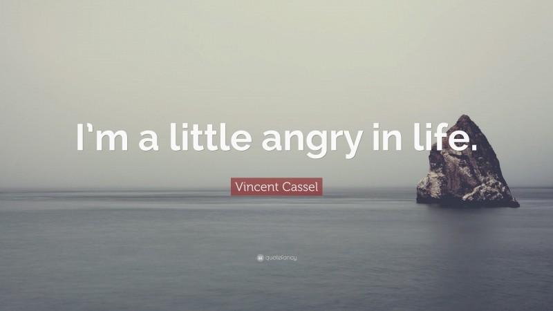 Vincent Cassel Quote: “I’m a little angry in life.”