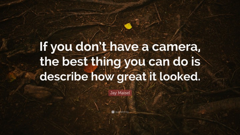 Jay Maisel Quote: “If you don’t have a camera, the best thing you can do is describe how great it looked.”