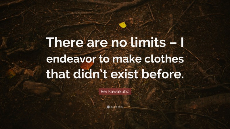 Rei Kawakubo Quote: “There are no limits – I endeavor to make clothes that didn’t exist before.”