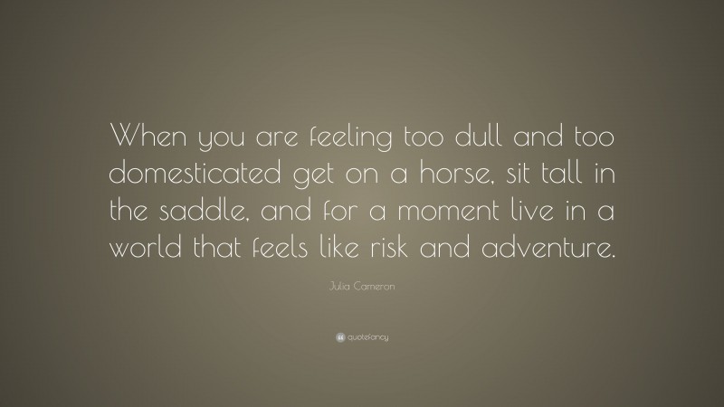 Julia Cameron Quote: “When you are feeling too dull and too domesticated get on a horse, sit tall in the saddle, and for a moment live in a world that feels like risk and adventure.”