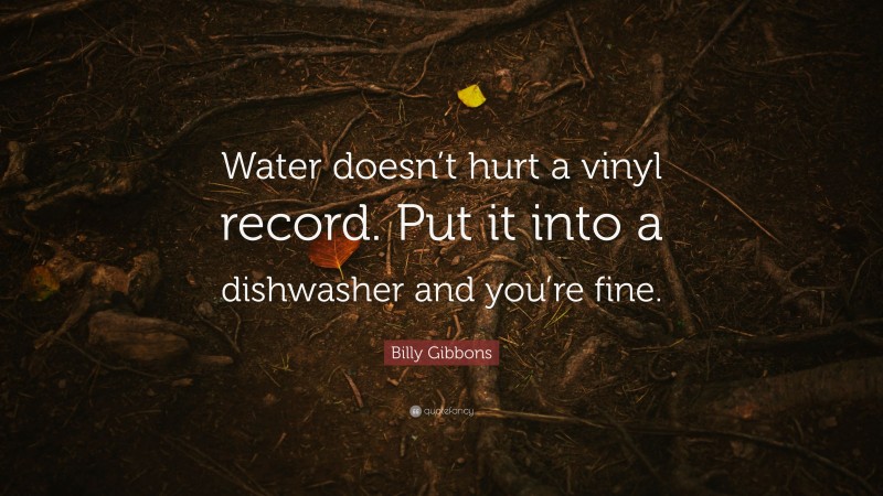 Billy Gibbons Quote: “Water doesn’t hurt a vinyl record. Put it into a dishwasher and you’re fine.”