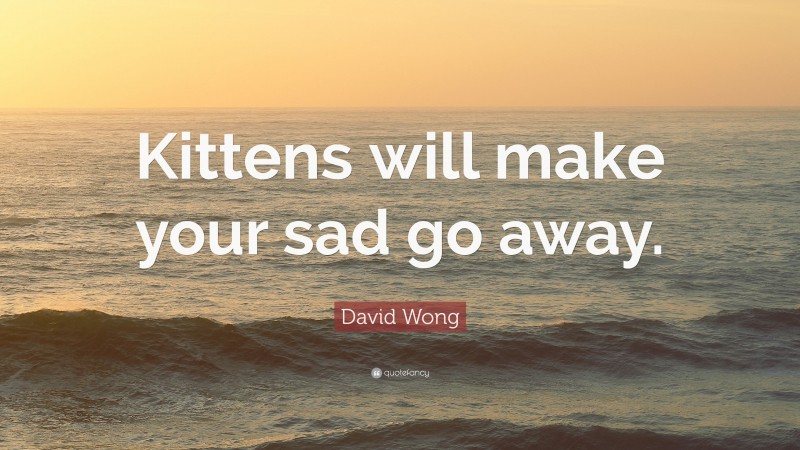David Wong Quote: “Kittens will make your sad go away.”
