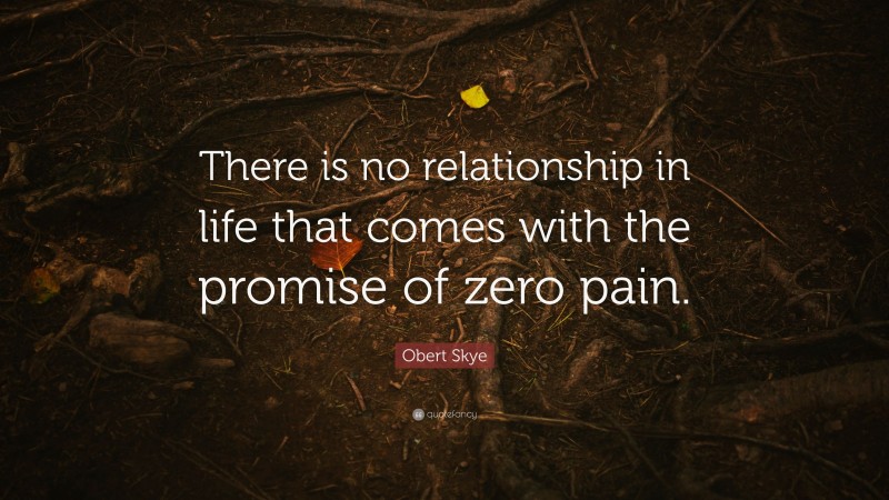 Obert Skye Quote: “There is no relationship in life that comes with the promise of zero pain.”