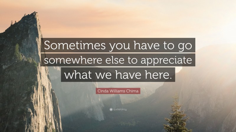 Cinda Williams Chima Quote: “Sometimes you have to go somewhere else to appreciate what we have here.”