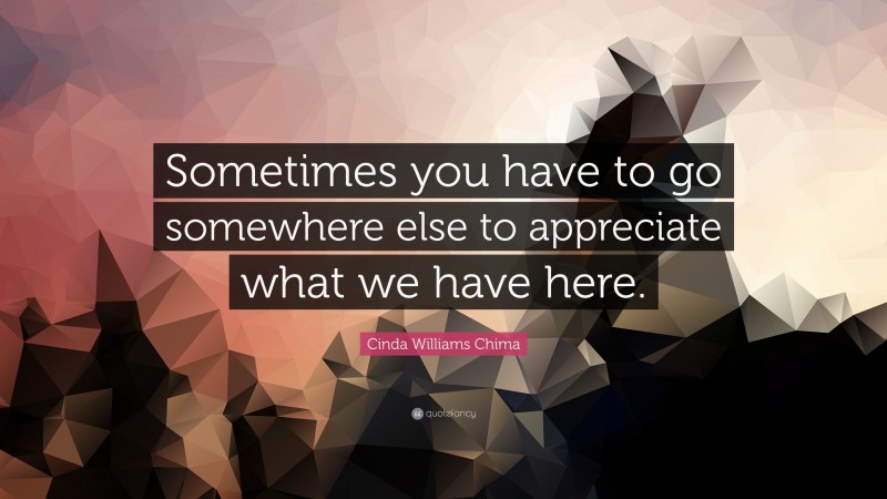 Cinda Williams Chima Quote: “Sometimes you have to go somewhere else to appreciate what we have here.”