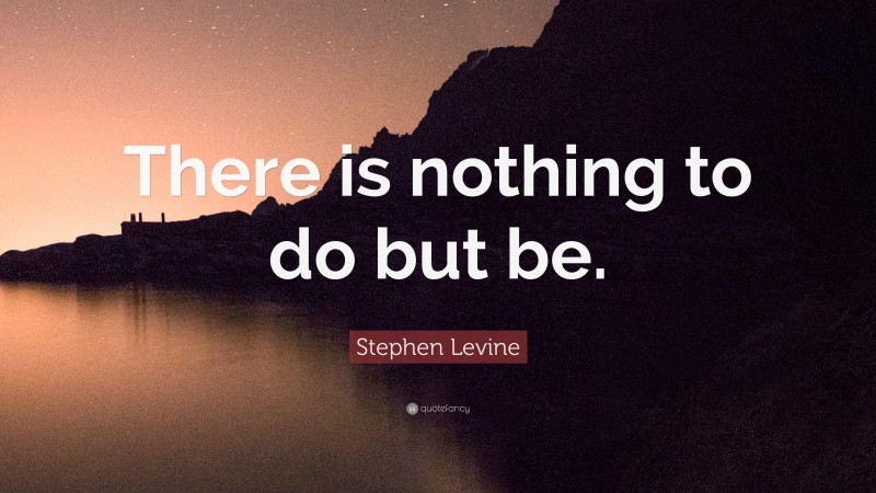 Stephen Levine Quote: “There is nothing to do but be.”