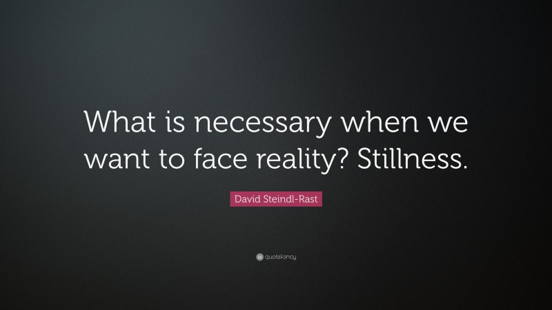David Steindl-Rast Quote: “What is necessary when we want to face reality? Stillness.”