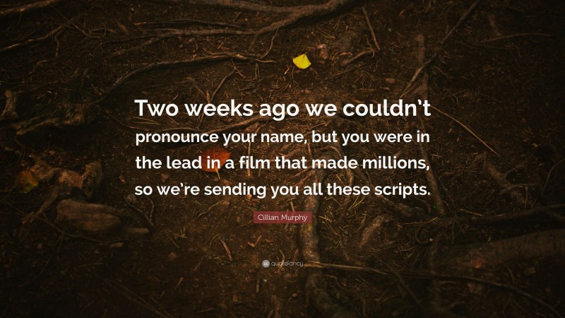 Cillian Murphy Quote: “Two weeks ago we couldn’t pronounce your name, but you were in the lead in a film that made millions, so we’re sending you all these scripts.”