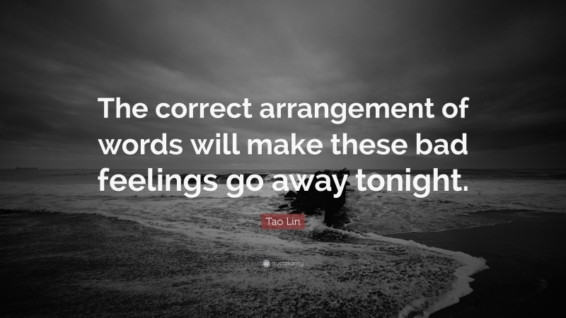 Tao Lin Quote: “The correct arrangement of words will make these bad feelings go away tonight.”