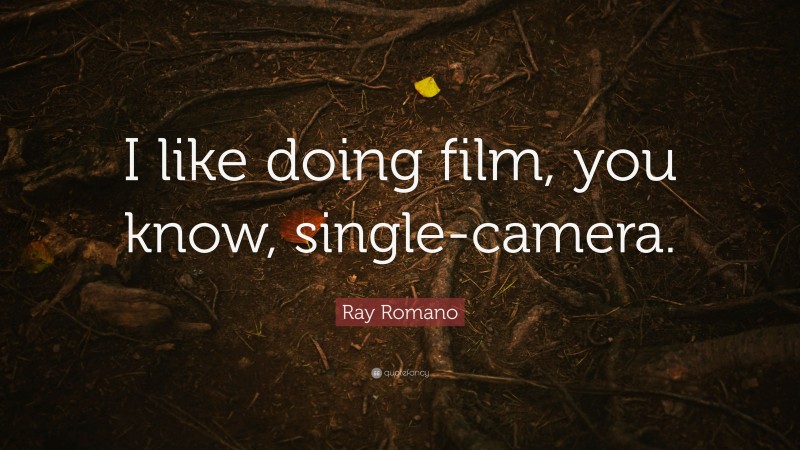 Ray Romano Quote: “I like doing film, you know, single-camera.”