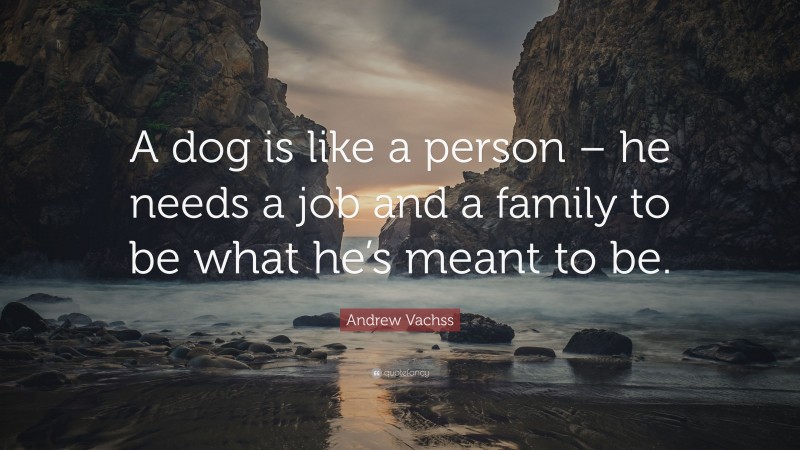 Andrew Vachss Quote: “A dog is like a person – he needs a job and a family to be what he’s meant to be.”