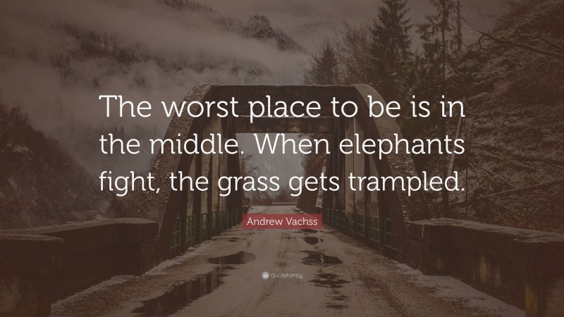 Andrew Vachss Quote: “The worst place to be is in the middle. When elephants fight, the grass gets trampled.”