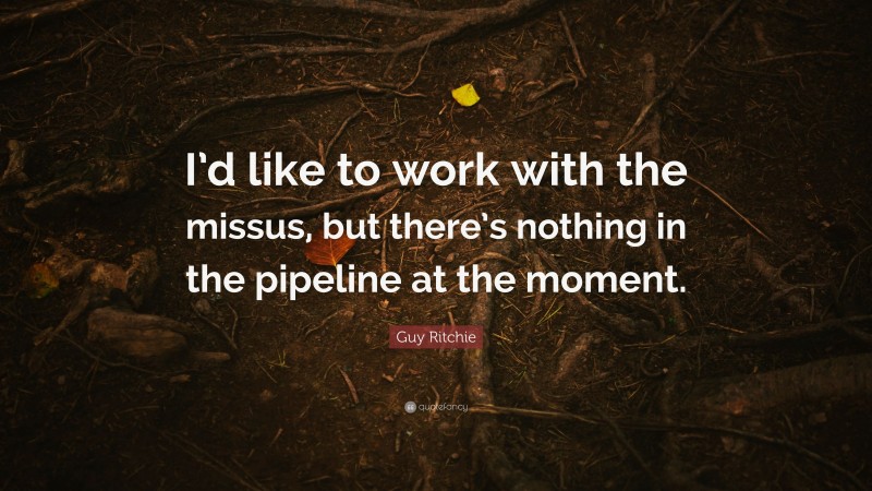 Guy Ritchie Quote: “I’d like to work with the missus, but there’s nothing in the pipeline at the moment.”
