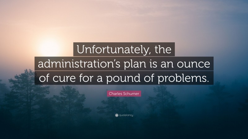 Charles Schumer Quote: “Unfortunately, the administration’s plan is an ounce of cure for a pound of problems.”