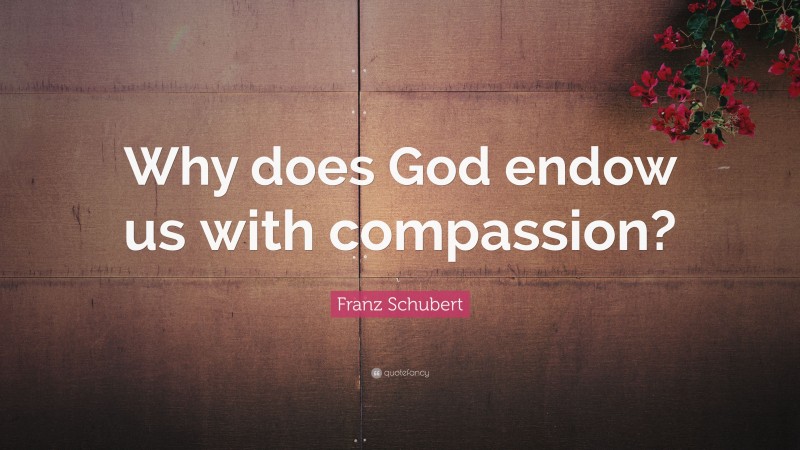 Franz Schubert Quote: “Why does God endow us with compassion?”