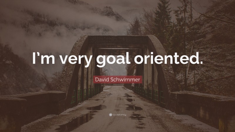 David Schwimmer Quote: “I’m very goal oriented.”