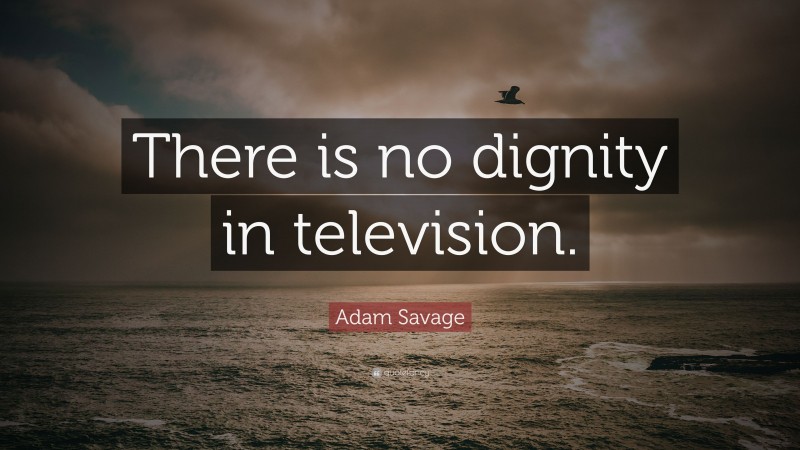 Adam Savage Quote: “There is no dignity in television.”